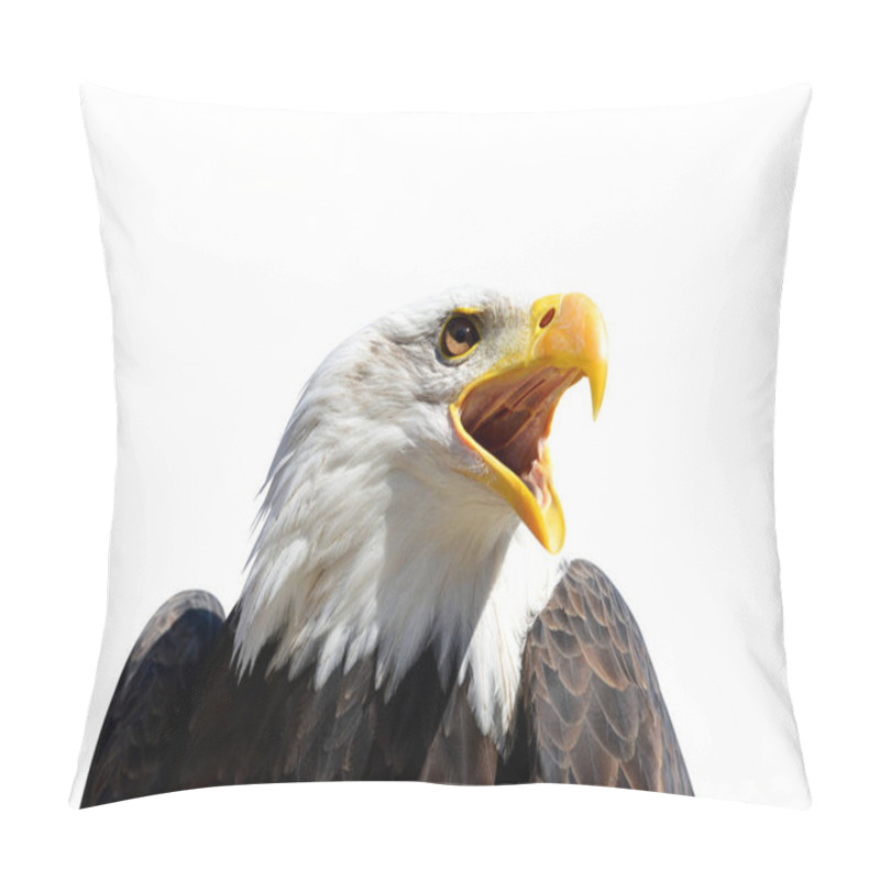 Personality  Portrait Of A Bald Eagle (Haliaeetus Leucocephalus) Isolated On A White Background. Pillow Covers