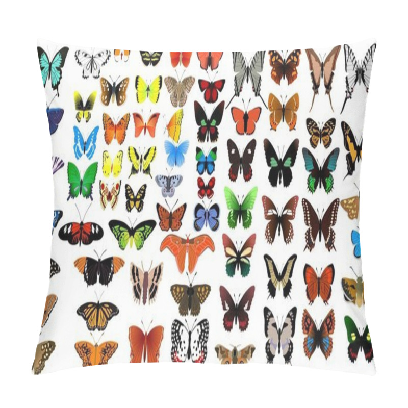 Personality  Big Vector Collection Of Butterflies Pillow Covers