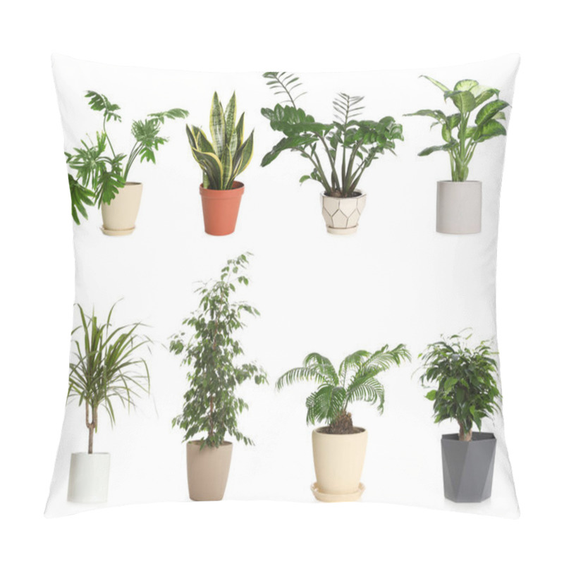 Personality  Set Of Different Houseplants In Flower Pots On White Background Pillow Covers