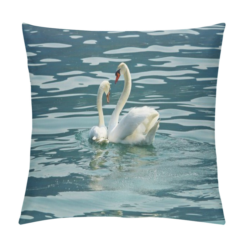 Personality  Swans In Love Pillow Covers