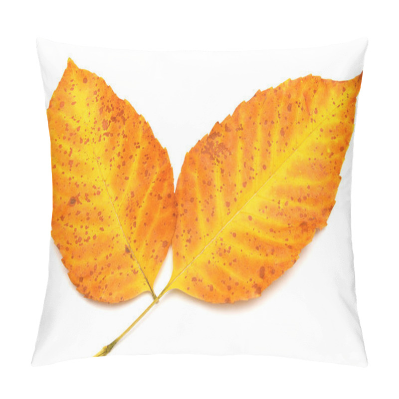 Personality  Yellow Leaves Pillow Covers