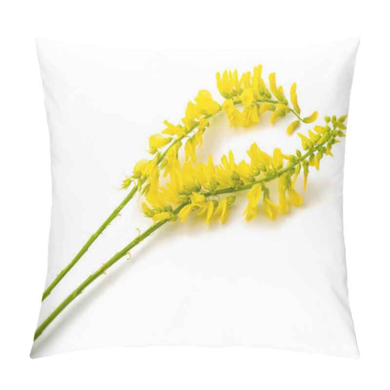 Personality  Melilotus Officinalis (Yellow Sweet Clover) Isolated On White Pillow Covers