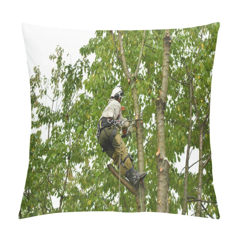 Personality  Climber On A Tree. Climber On A White Background. Arborist Man Cuts Branches With A Chainsaw And Throws It To The Ground. A Worker With A Helmet Works At A Height In The Trees. Lumberjack Works With A Pillow Covers