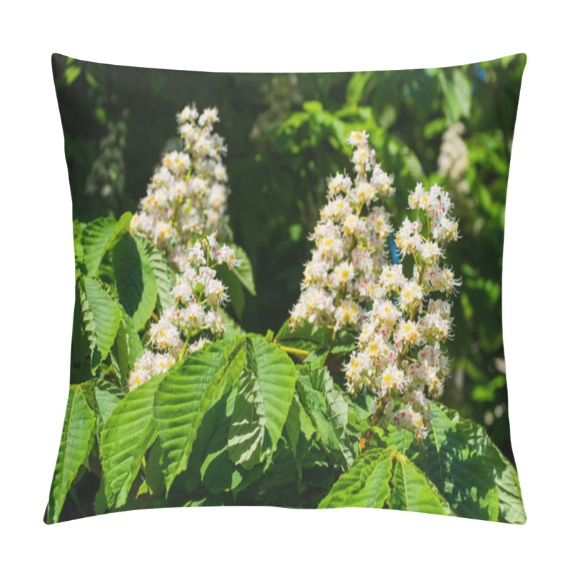 Personality  Close Up Of Spring  Chestnut Blossom Against Blue Sky Pillow Covers