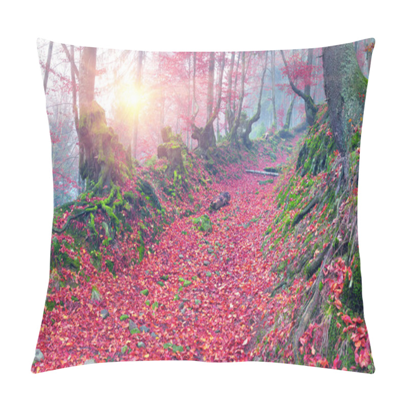 Personality  Beech Forest In Autumn Mountains Pillow Covers