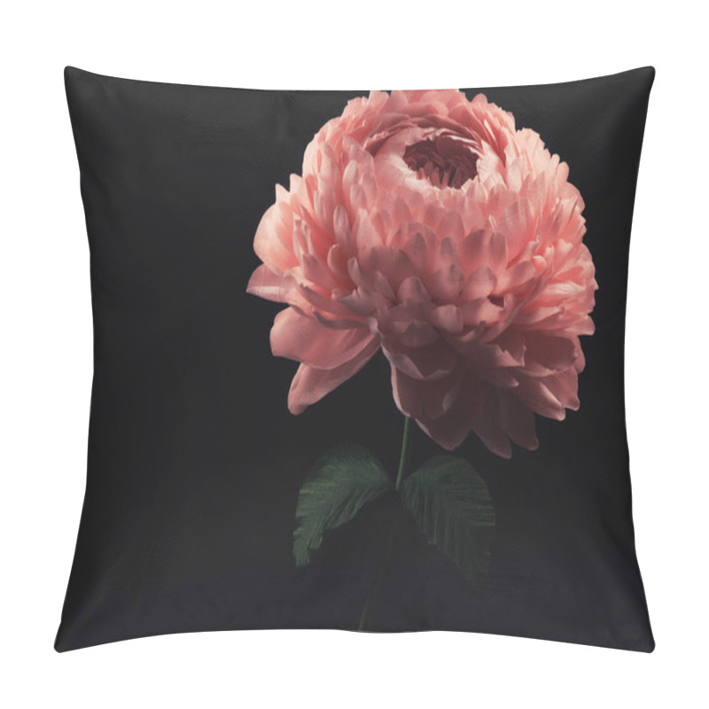 Personality  Large Flowers Made Of Foamiran And Paper On A Dark Background, Hand-made Rosebuds And Peonies, Homemade Compositions And Fire Flowers For Decoration And Design Pillow Covers