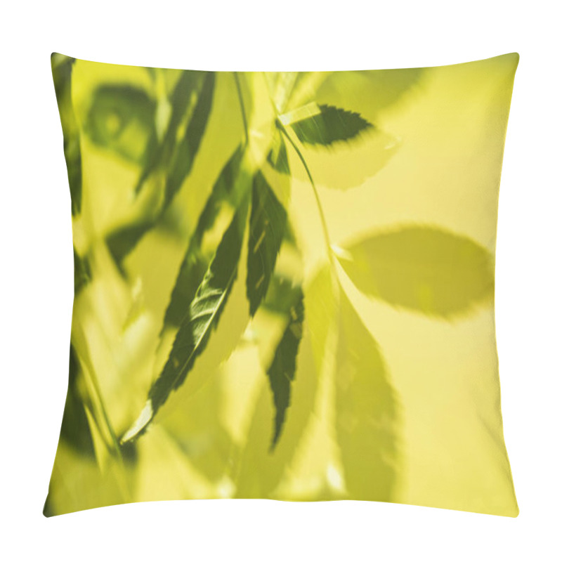 Personality  Green Leaves, Nature Bacground Double Exposure Pillow Covers