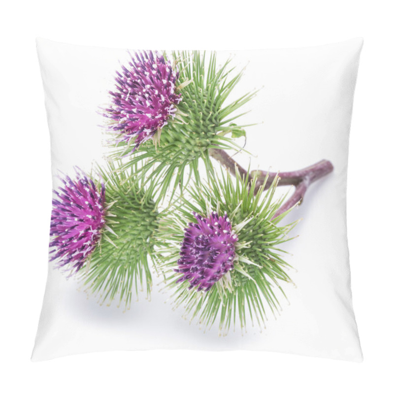 Personality  Prickly Heads Of Burdock Flowers On A White Background. Pillow Covers