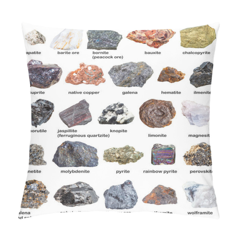 Personality  Various Raw Minerals And Ores With Names Isolated Pillow Covers