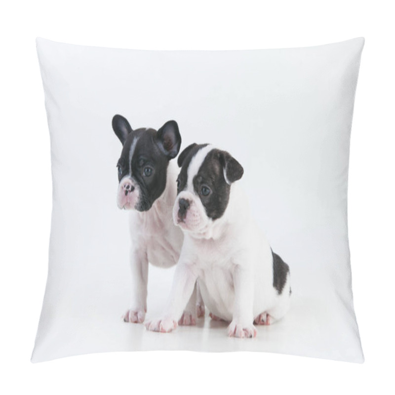 Personality  A Closeup Shot Of Cute Boston Terrier Puppies Pillow Covers