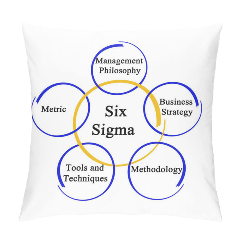 Personality  Components Of Six Sigma Methodology Pillow Covers