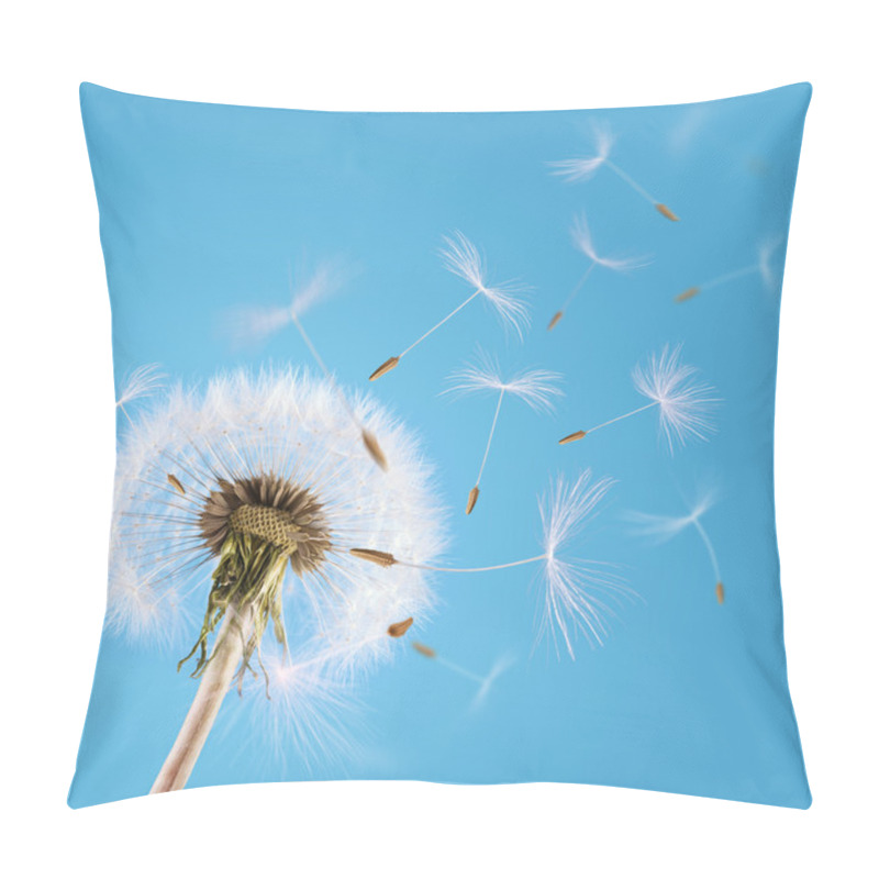 Personality  Dandelion Seeds Blown In The Sky Pillow Covers