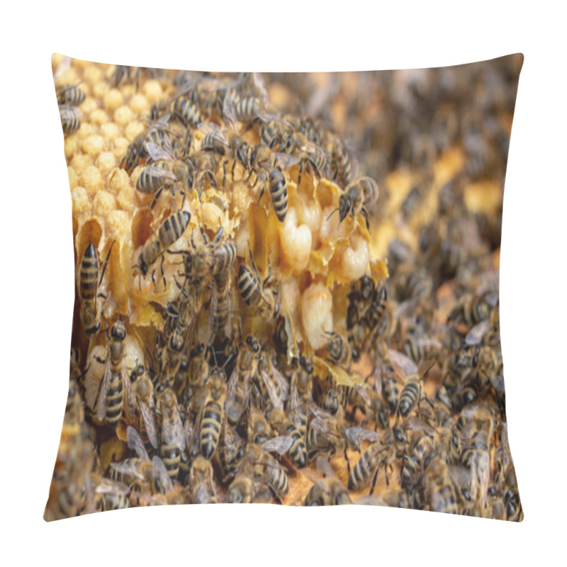 Personality  Bees Are Working In An Open Hive, Which Serves A Beekeeper Pillow Covers