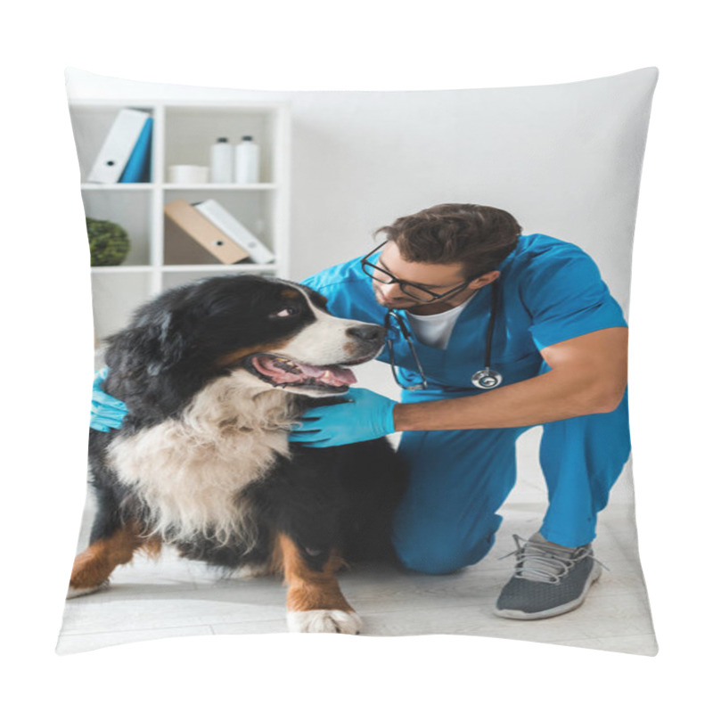 Personality  Attentive Veterinarian Examining Adorable Bernese Mountain Dog  Pillow Covers