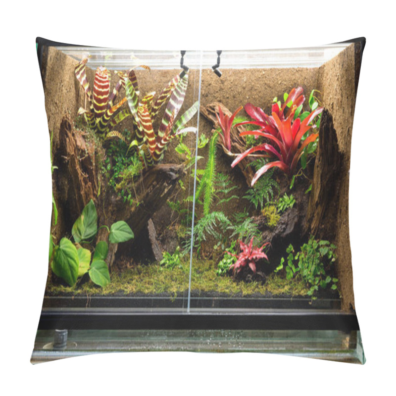 Personality  Tropical Rain Forest Terrarium. Pet Tank Vivarium For Exotic Frogs, Lizards Or Gecko Pillow Covers