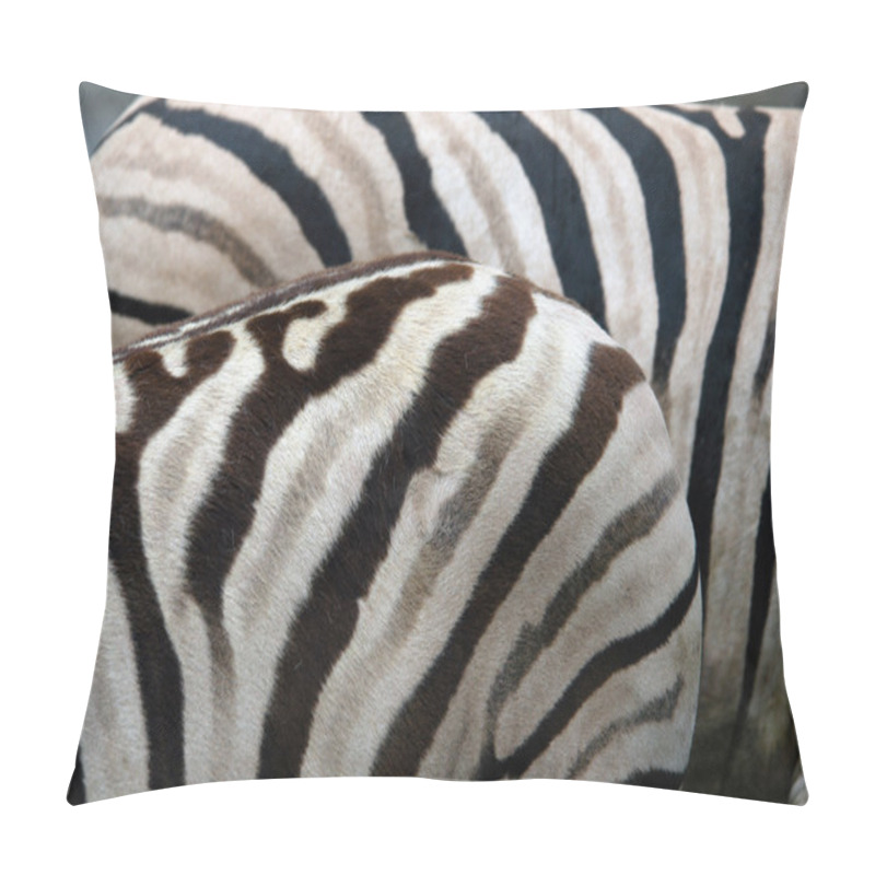 Personality  Damara Zebras Pillow Covers