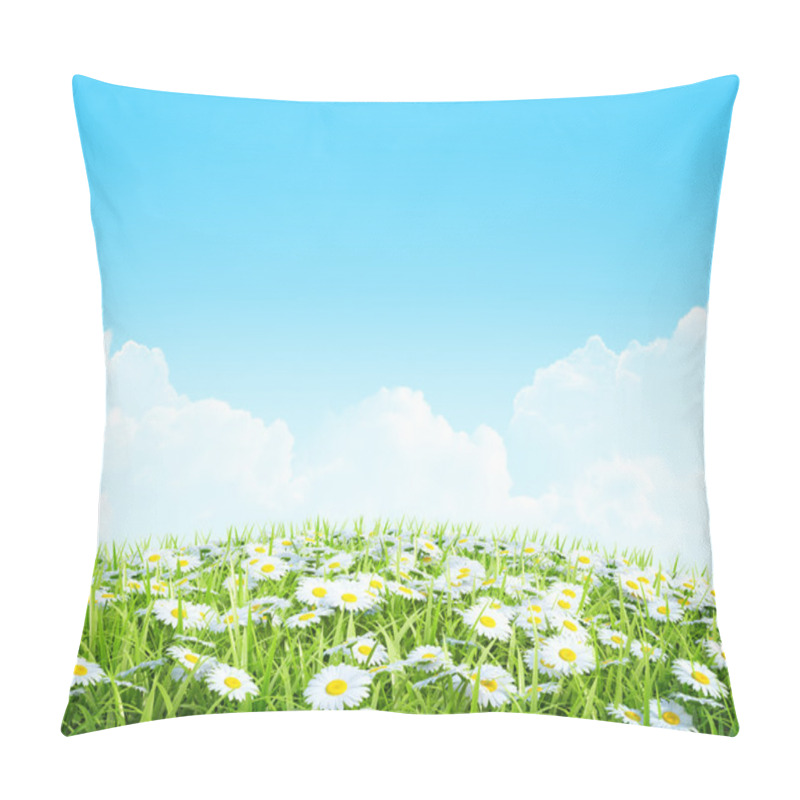 Personality  Summer Or Spring Shiny Meadow Background. Pillow Covers