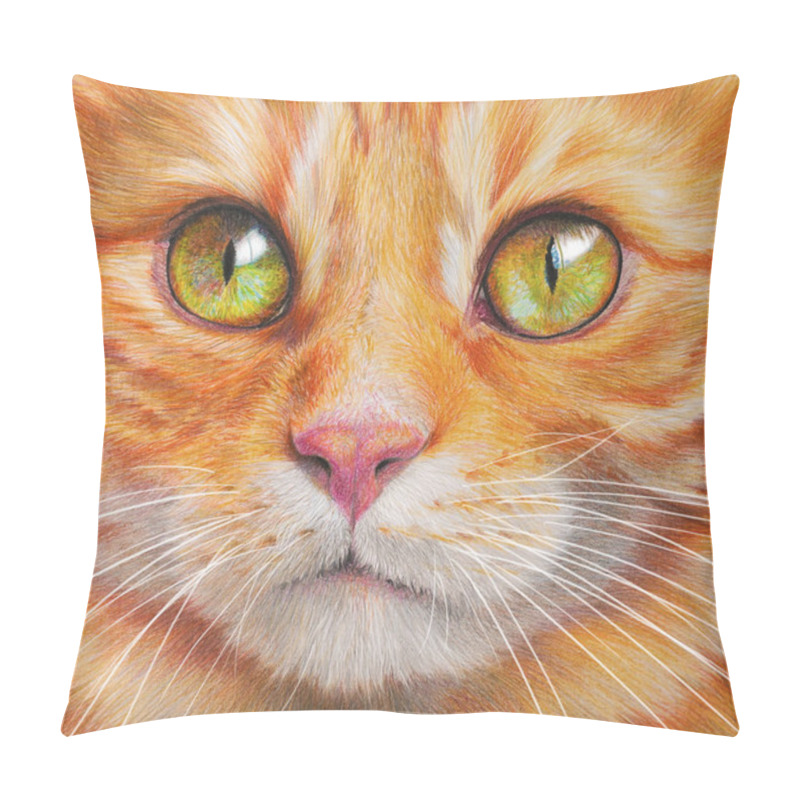 Personality  Colorful Handdrawing Portrait Of A Cat. Pet On White Background. Realistic Hand Drawing Pillow Covers