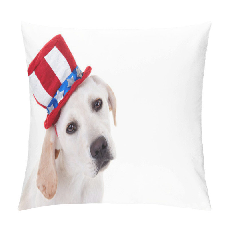 Personality  Patriotic Puppy Dog Pillow Covers