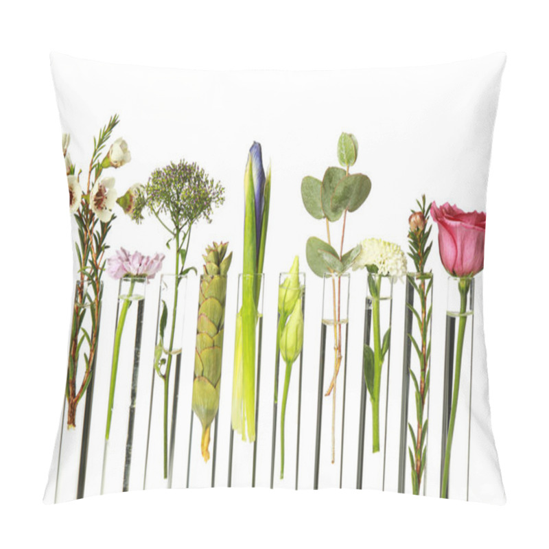 Personality  Different Plants In Test Tubes On White Background Pillow Covers