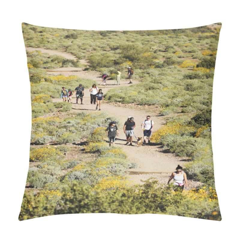 Personality  A Trail Into The Superstition Mountain Wilderness Pillow Covers