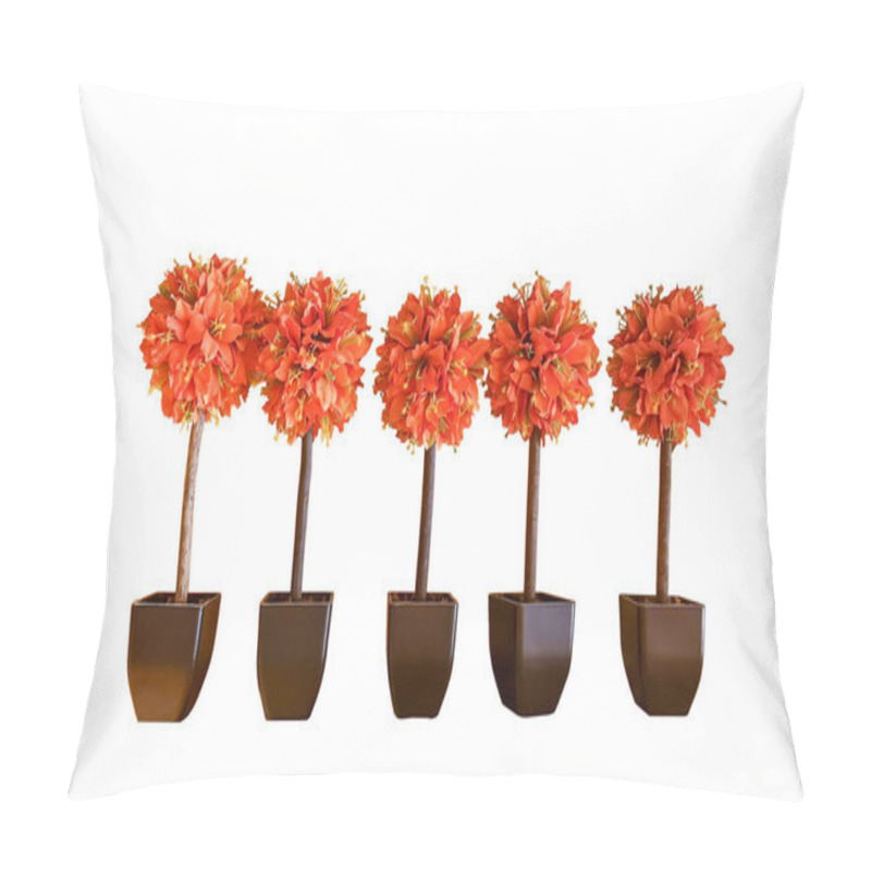 Personality  Row Of Orange Petals Barbados Lily Plant On Flower Head In Black Pots Isolated On White Background For Interior Design, Die Cut Image With Clipping Path Pillow Covers