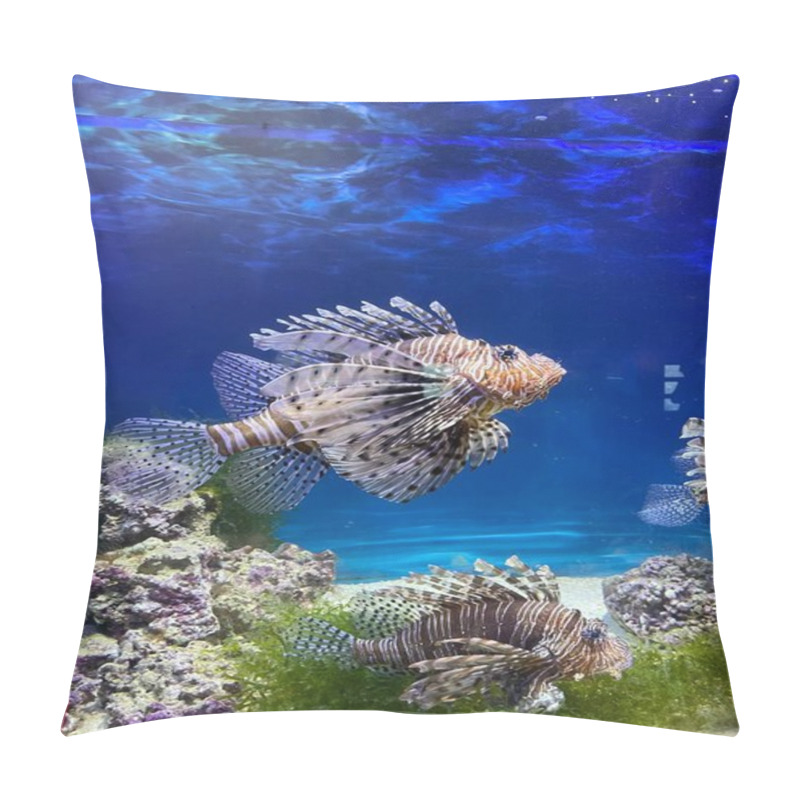 Personality  Aquarium, Decorative Fish In A Fish Tank Pillow Covers