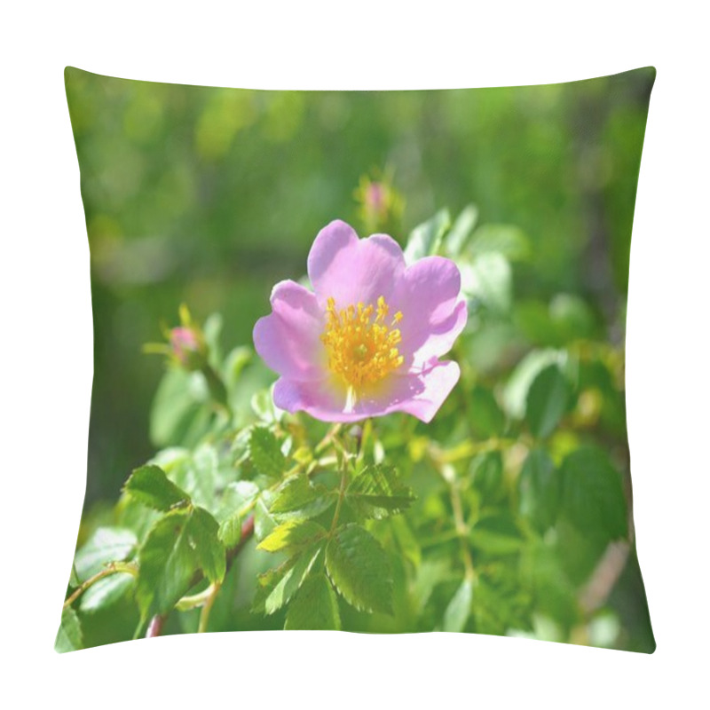 Personality   Pink Wild Rose Flower  Pillow Covers