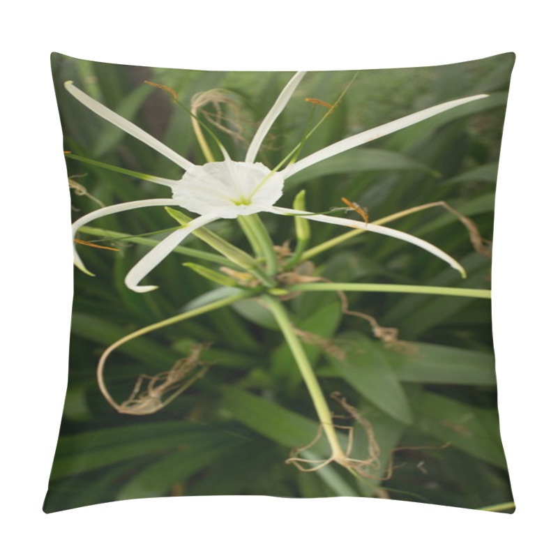 Personality  Close Up White Asian Flower With Leafy Background, Vertical View Pillow Covers