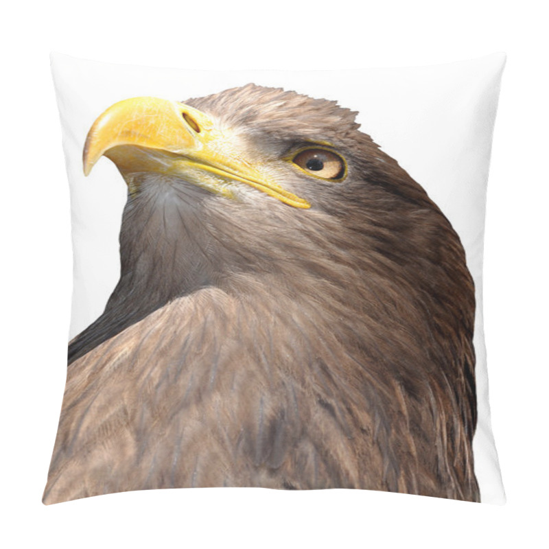 Personality  Sea Eagle Pillow Covers