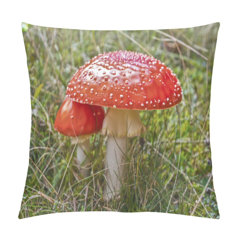 Personality  Red Mushroom Pillow Covers