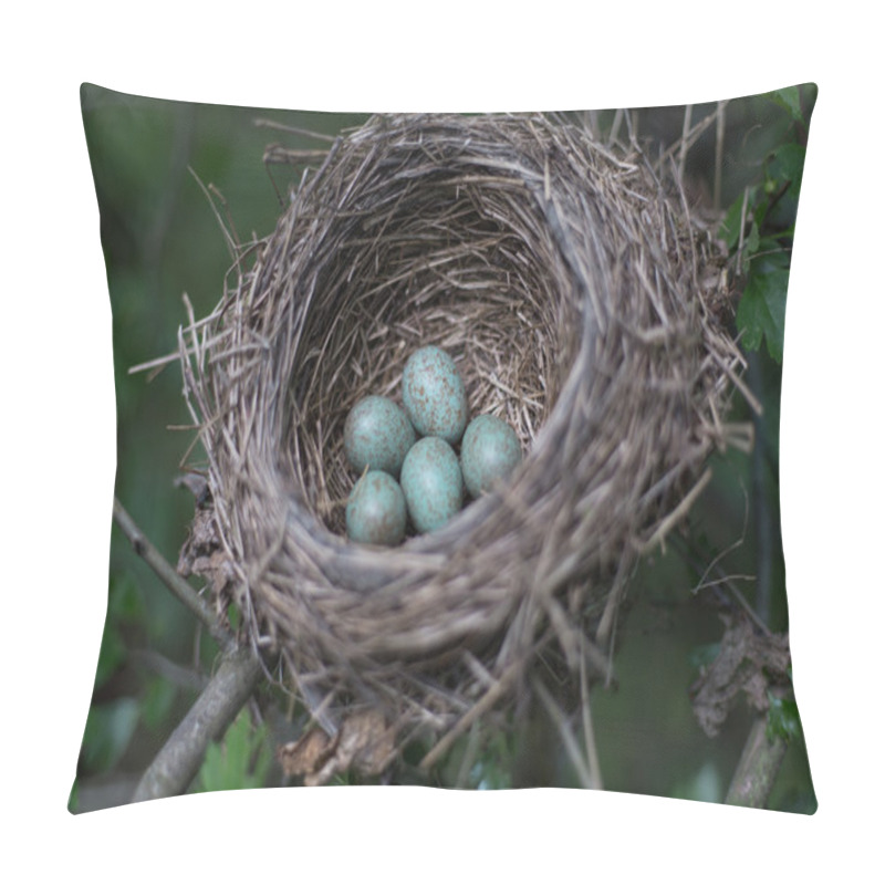 Personality  Bird's Nest. Pillow Covers