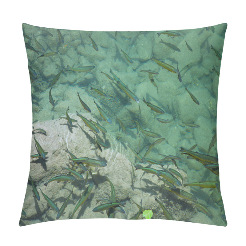 Personality  Fish In Abundance Swim Pillow Covers