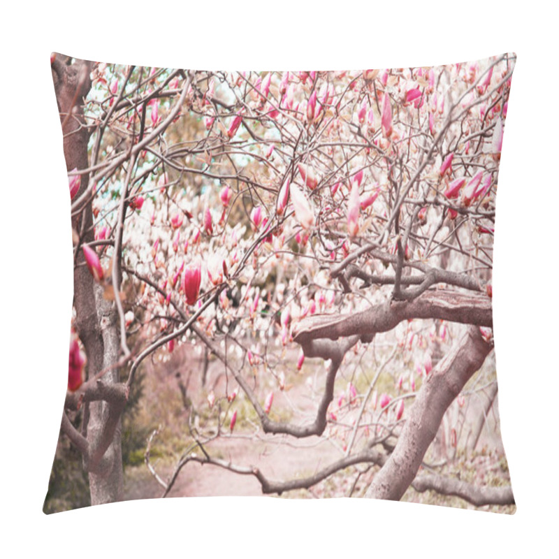 Personality  Branches With Beautiful Magnolia Tree Flowers Pillow Covers