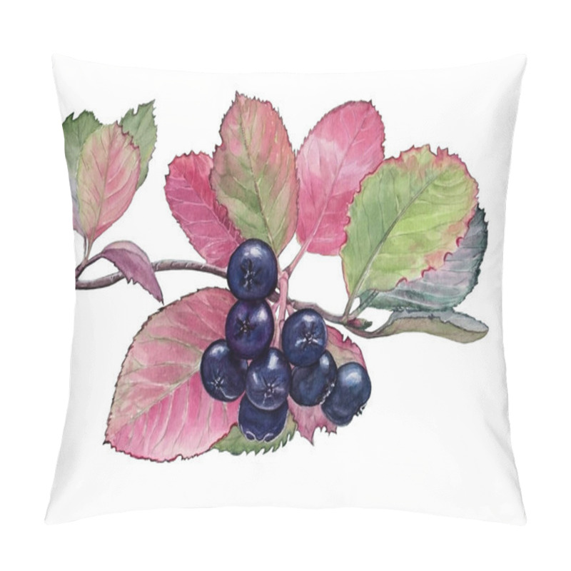 Personality  Watercolor Illustration Of Branch Dark Blue Chokeberries With Leaves For Healthy Life On White  Isolated Background Pillow Covers