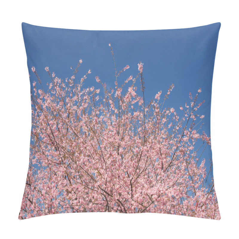 Personality  Beautiful Cherry Blossom Against Blue Sky Pillow Covers