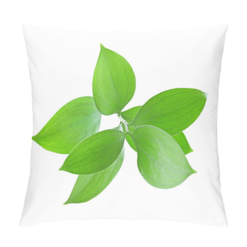 Personality  Green tea leaves pillow covers