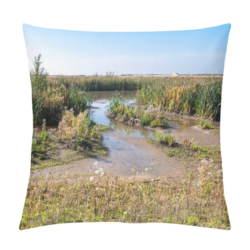 Personality  Marshland With Marsh Vegetation, Mud Flats, Shallow Pools, Creeks And Sheltered, Shallow Water On Marker Wadden Island, Netherlands Pillow Covers