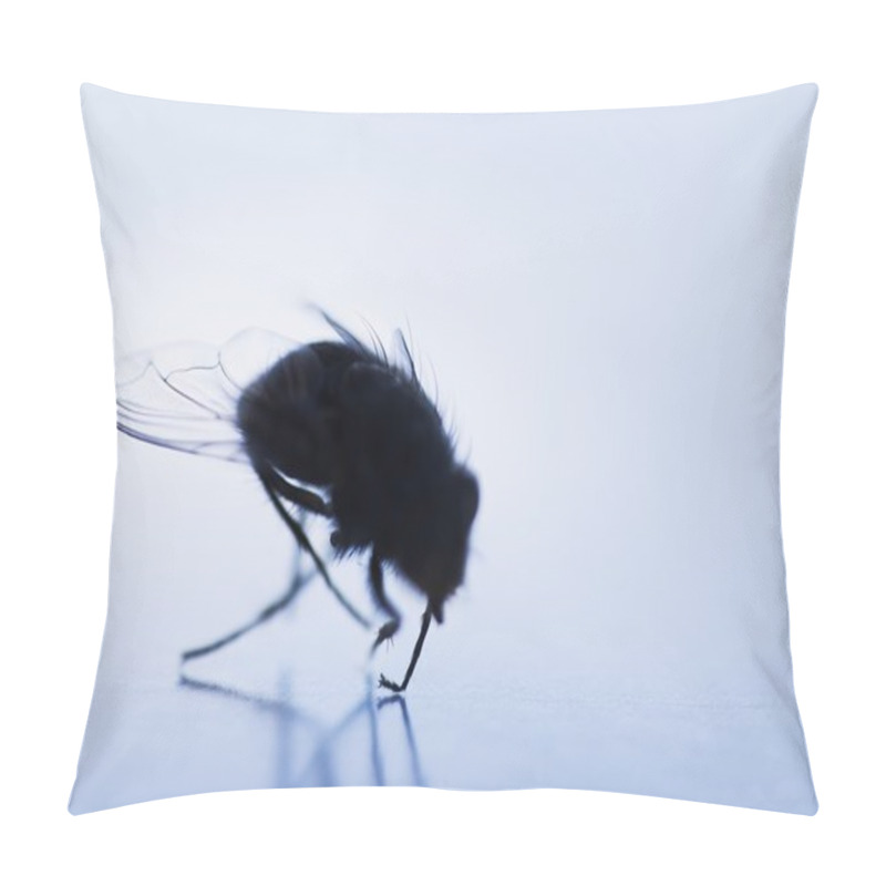 Personality  Silhouette Of A Fly Pillow Covers