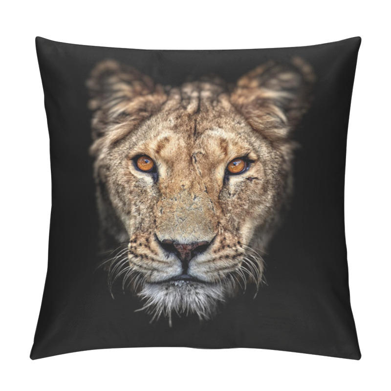 Personality  Portrait Of A Lioness On Black Background. Lovely Lioness.  Pillow Covers