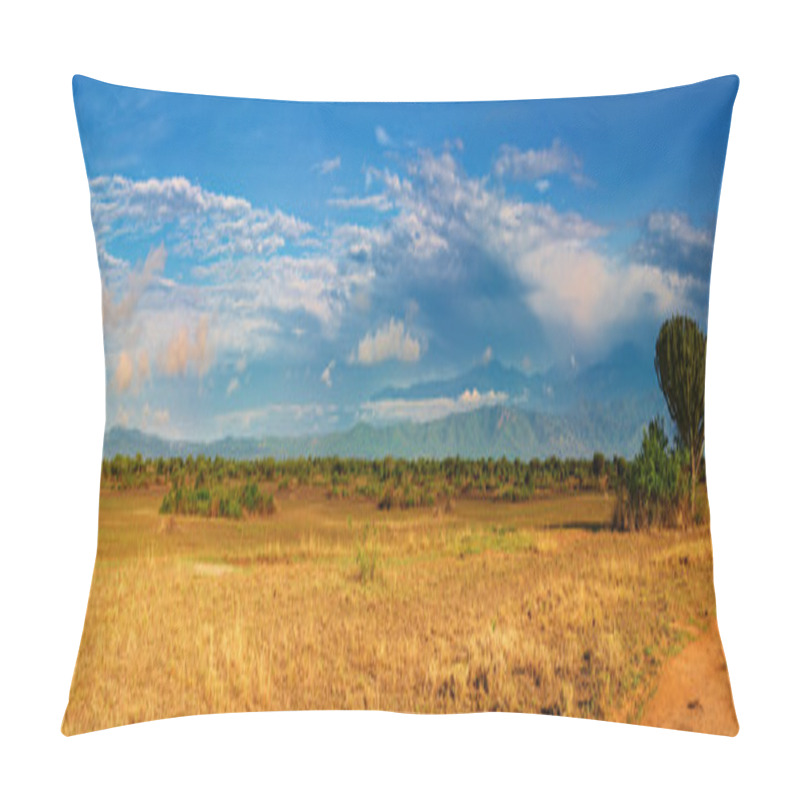 Personality  African Savanna Pillow Covers