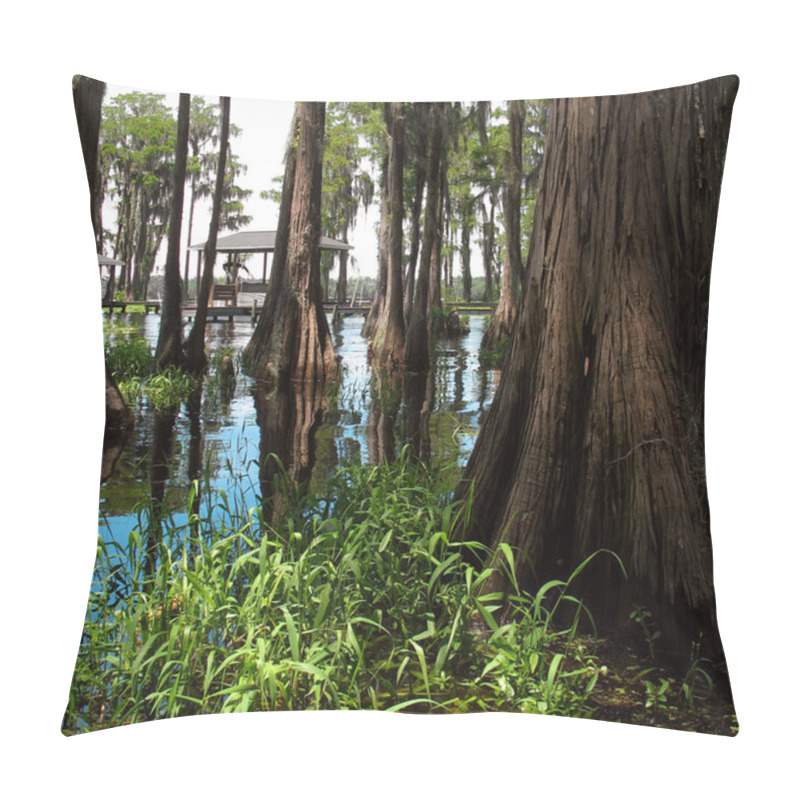 Personality  Swampy Pillow Covers