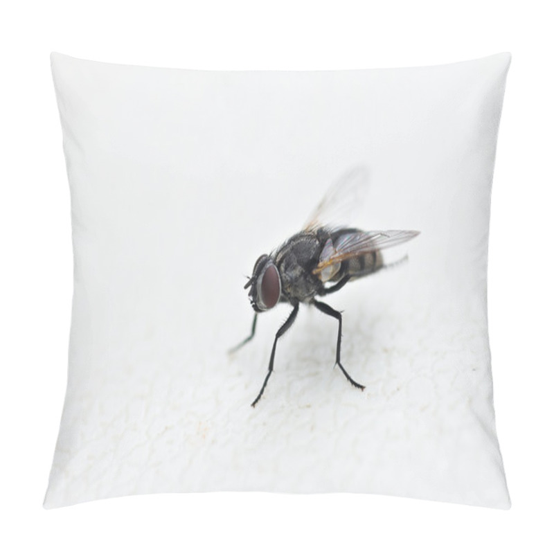 Personality  Fly On White Pillow Covers