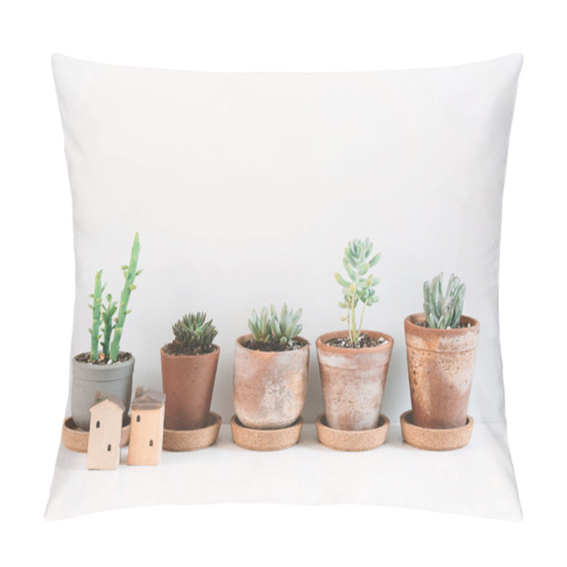 Personality  Succulents And Cactus In Different Clay Pots On The White Shelf. Scandinavian Hipster Home Decoration. Pillow Covers