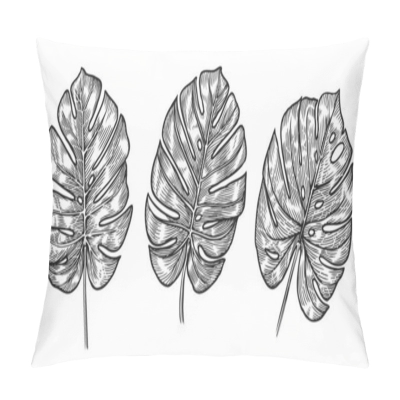 Personality  Monstera Tropical Leaves Sketch. Vector Illustration Set Pillow Covers