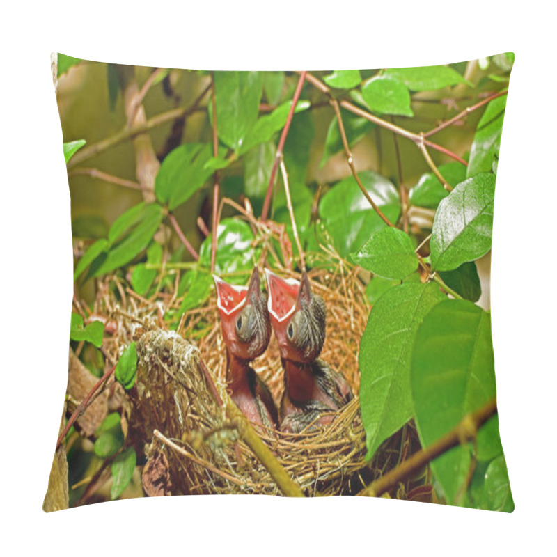 Personality  Natural Attractions Beautiful Impressed Pillow Covers