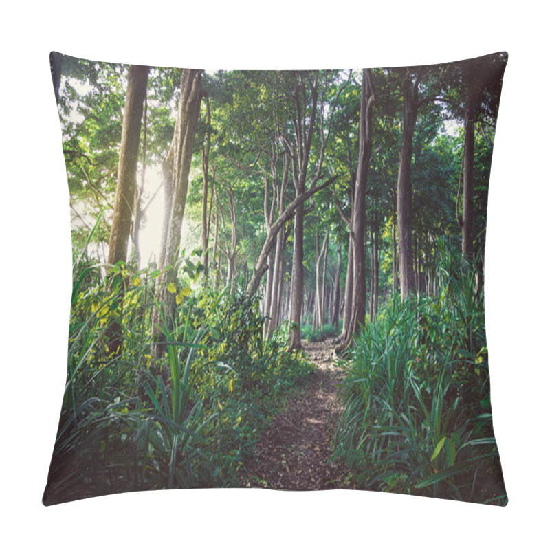 Personality  Walking Trail In New Zealand Tropical Forest Pillow Covers