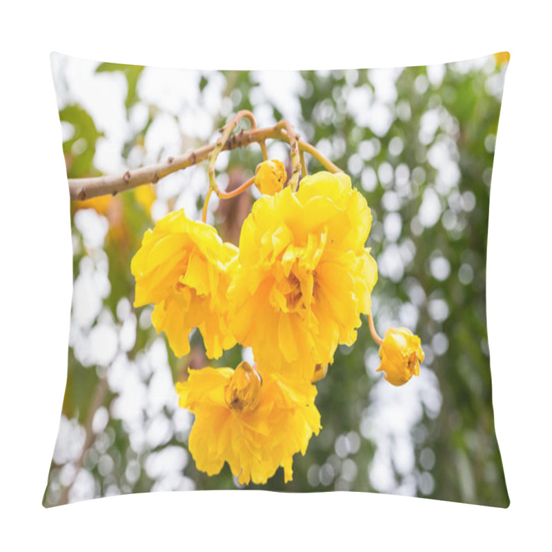 Personality  Cotton Tree, Yellow Silk Cotton, Butter Cup Flower Pillow Covers