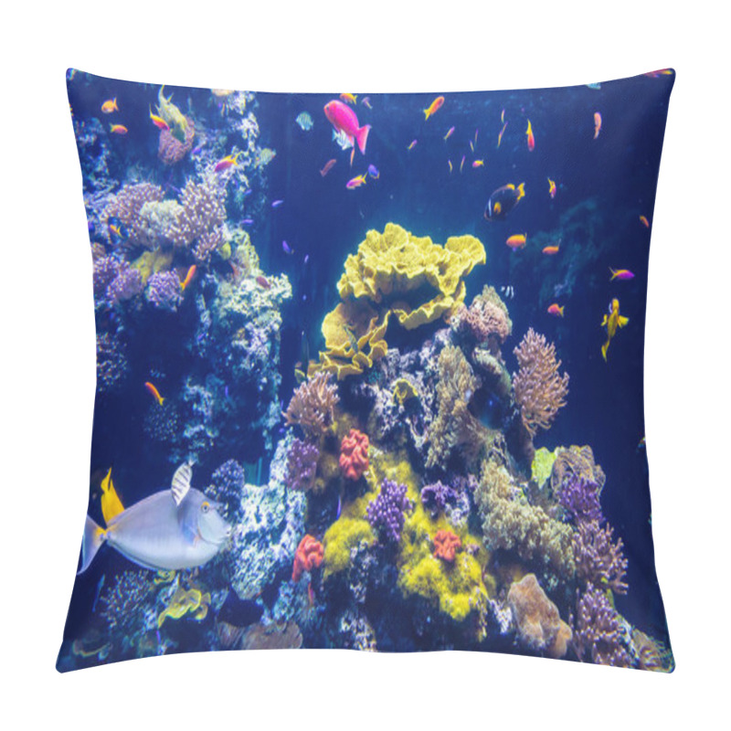 Personality  Clear Underwater With Tropical Colour Fish And Coral Reef Pillow Covers