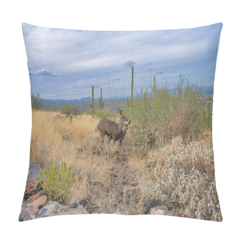 Personality  Two Wild Deers On A Shrubland With Saguaro Cactus And Overlooking View At Tucson, Arizona. Mother Deer And Young Deer On A Desert Land Against The Sky At The Background. Pillow Covers